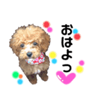 dogスタンプ❤︎（個別スタンプ：3）