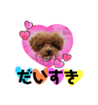 dogスタンプ❤︎（個別スタンプ：4）