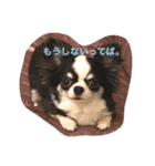紋二郎と二葉（個別スタンプ：8）