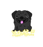 パグ好きの為のスタンプ（個別スタンプ：1）