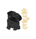 パグ好きの為のスタンプ（個別スタンプ：4）