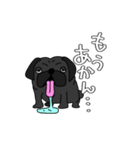 パグ好きの為のスタンプ（個別スタンプ：5）