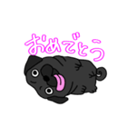 パグ好きの為のスタンプ（個別スタンプ：8）