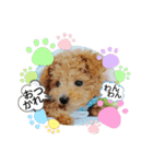 わんこ・にゃんこ（個別スタンプ：6）