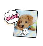 わんこ・にゃんこ（個別スタンプ：9）