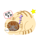 わんこ・にゃんこ（個別スタンプ：16）