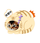 わんこ・にゃんこ（個別スタンプ：21）