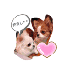 ゆずくん達と仲間達（個別スタンプ：3）