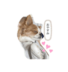 ゆずくん達と仲間達（個別スタンプ：4）