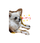 ゆずくん達と仲間達（個別スタンプ：5）