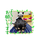 ゆずくん達と仲間達（個別スタンプ：7）