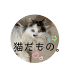 コロン美里音スタンプ③（個別スタンプ：1）