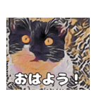 ♥【可愛い猫】スタンプ（個別スタンプ：1）