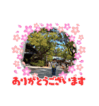＃23（個別スタンプ：1）
