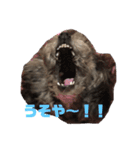 トイプードルのゆずとすずめ4（個別スタンプ：5）