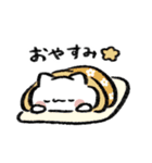 あいさつに使えるねこ（個別スタンプ：19）