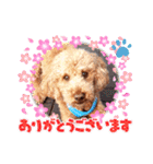 coco 20210325（個別スタンプ：1）