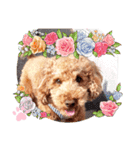 coco 20210325（個別スタンプ：4）