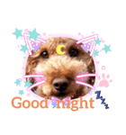 coco 20210325（個別スタンプ：6）