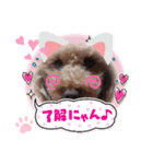 coco 20210325（個別スタンプ：8）