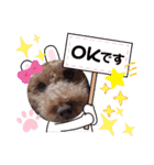 coco 20210325（個別スタンプ：9）