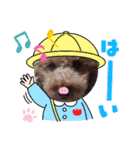 coco 20210325（個別スタンプ：10）