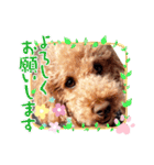 coco 20210325（個別スタンプ：12）