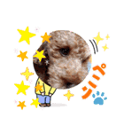 coco 20210325（個別スタンプ：13）
