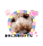 coco 20210325（個別スタンプ：14）