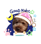 coco 20210325（個別スタンプ：15）