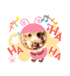 coco 20210325（個別スタンプ：16）