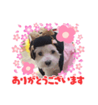 ターボーとハックン（個別スタンプ：5）