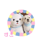 ターボーとハックン（個別スタンプ：11）