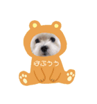 ターボーとハックン（個別スタンプ：17）