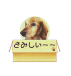 ターボーとハックン（個別スタンプ：23）