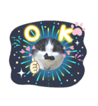 にゃんずレンジャー（個別スタンプ：3）