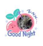 にゃんずレンジャー（個別スタンプ：6）
