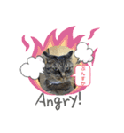 にゃんずレンジャー（個別スタンプ：15）