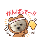 くぅーすけスタンプ（個別スタンプ：6）
