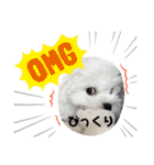 ゆきちクン（個別スタンプ：3）