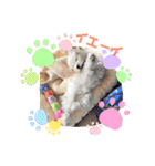 ゆきちクン（個別スタンプ：6）