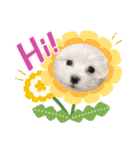 ゆきちクン（個別スタンプ：7）