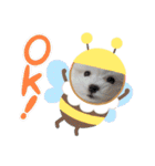 ゆきちクン（個別スタンプ：13）