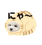 ゆきちクン（個別スタンプ：20）
