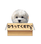 ゆきちクン（個別スタンプ：21）
