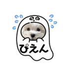 ゆきちクン（個別スタンプ：23）
