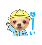 チョコとさくら➓（個別スタンプ：1）