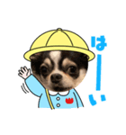 チョコとさくら➓（個別スタンプ：2）