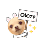 チョコとさくら➓（個別スタンプ：3）