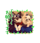 チョコとさくら➓（個別スタンプ：8）